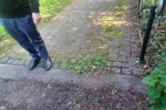 LDAG undertook an audit of the public open spaces Main Street Leixlip with Kildare Co Council Access Officer in 2022.

LDAG have worked with KCC Parks Dept to progress two key projects identified from this audit. 

We are please to say funding was allocated by Celbridge Leixlip Muncipal District Councillors end 2023 for these two projects and they are underway, expect announcement of their commencement before end of 2024.
