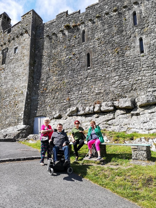 Rock Of Cashle Town & Castle - Kilkenny City Audit